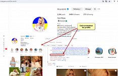 [Instagram] Get screenshot for profiles