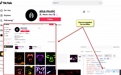[TikTok] Get screenshot for profiles